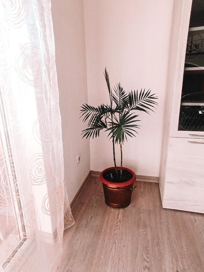 モスタルPoseidon Houseアパートメント エクステリア 写真